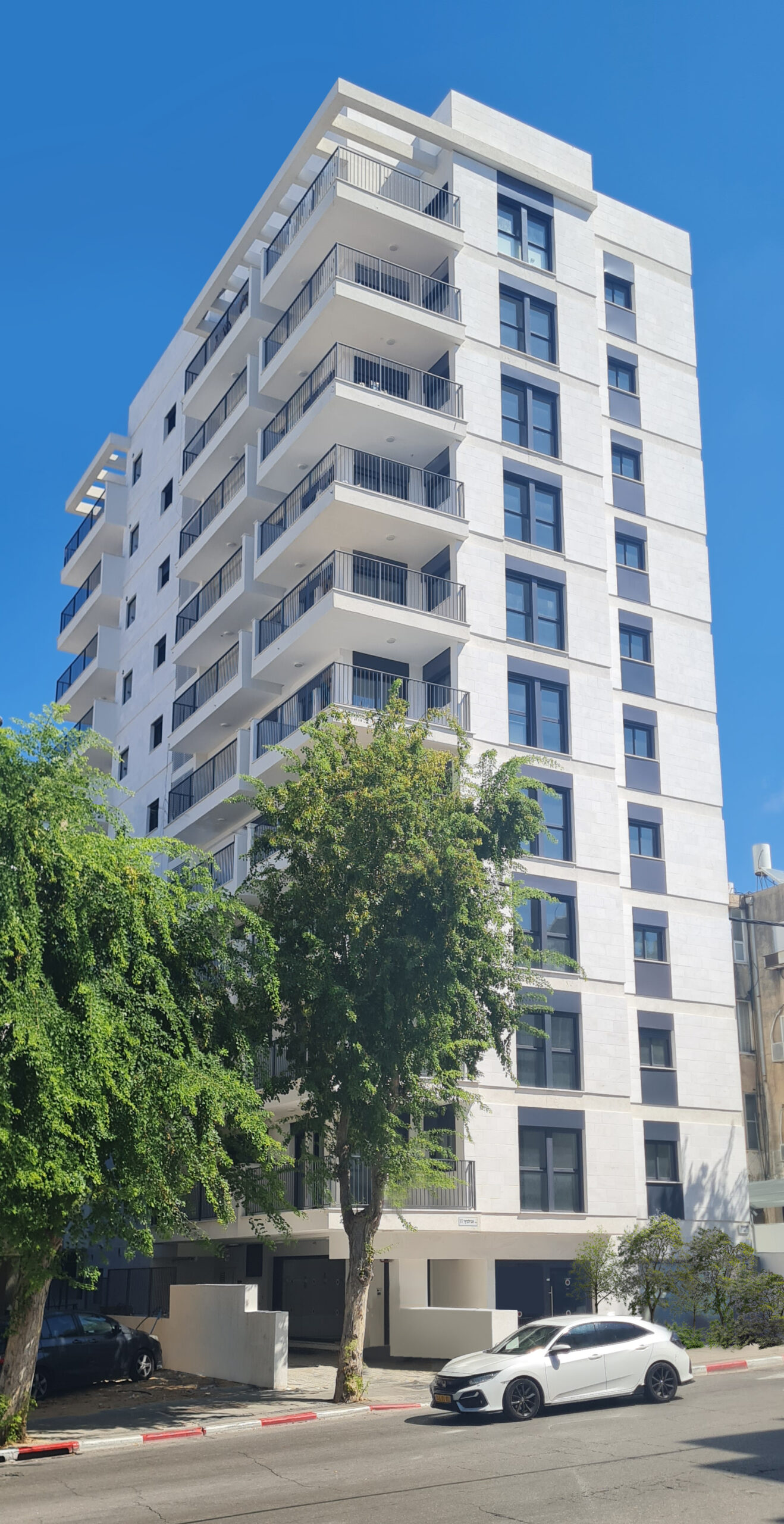 אנילביץ 11